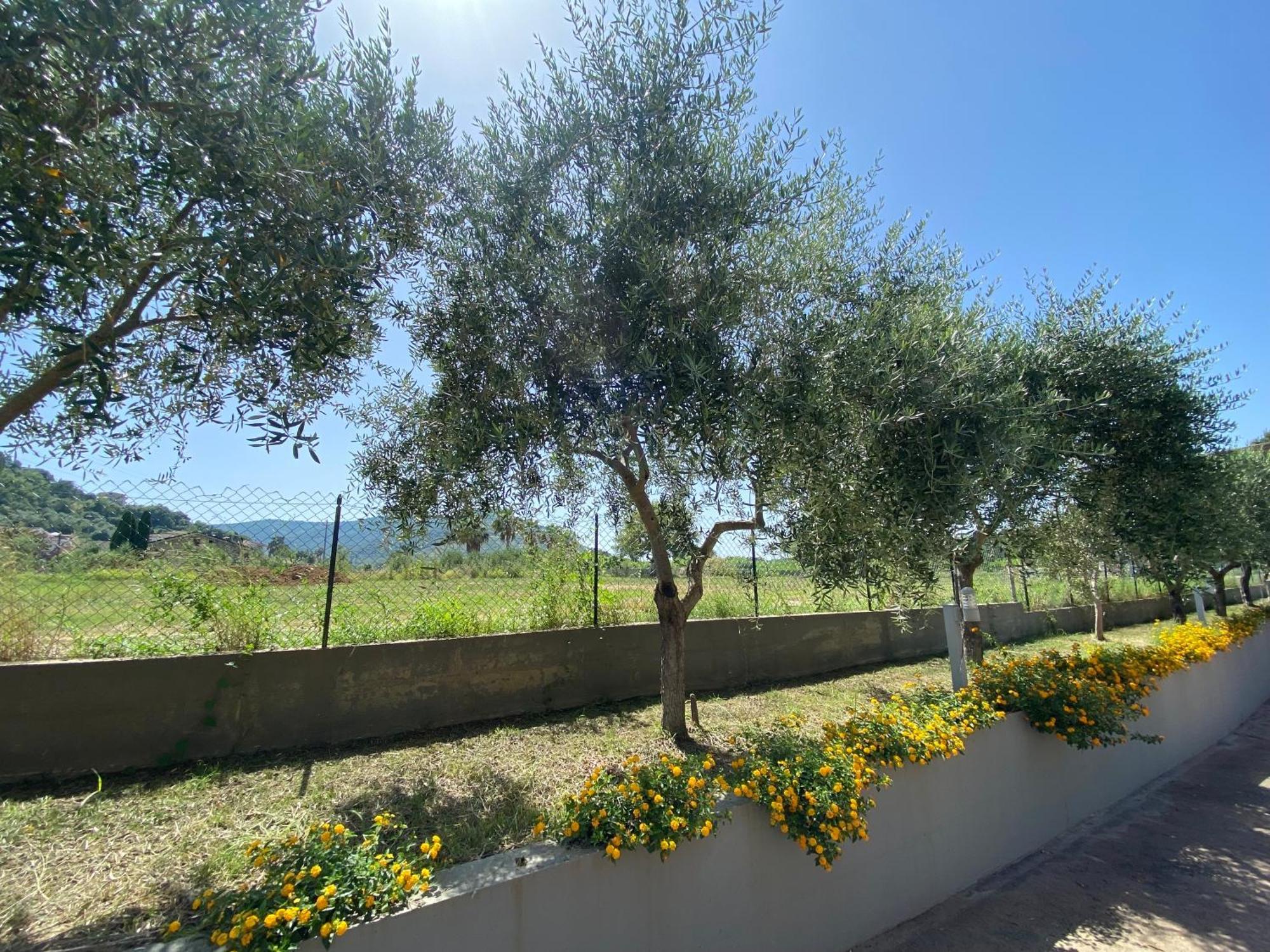 Miro' Agropoli B&B 외부 사진