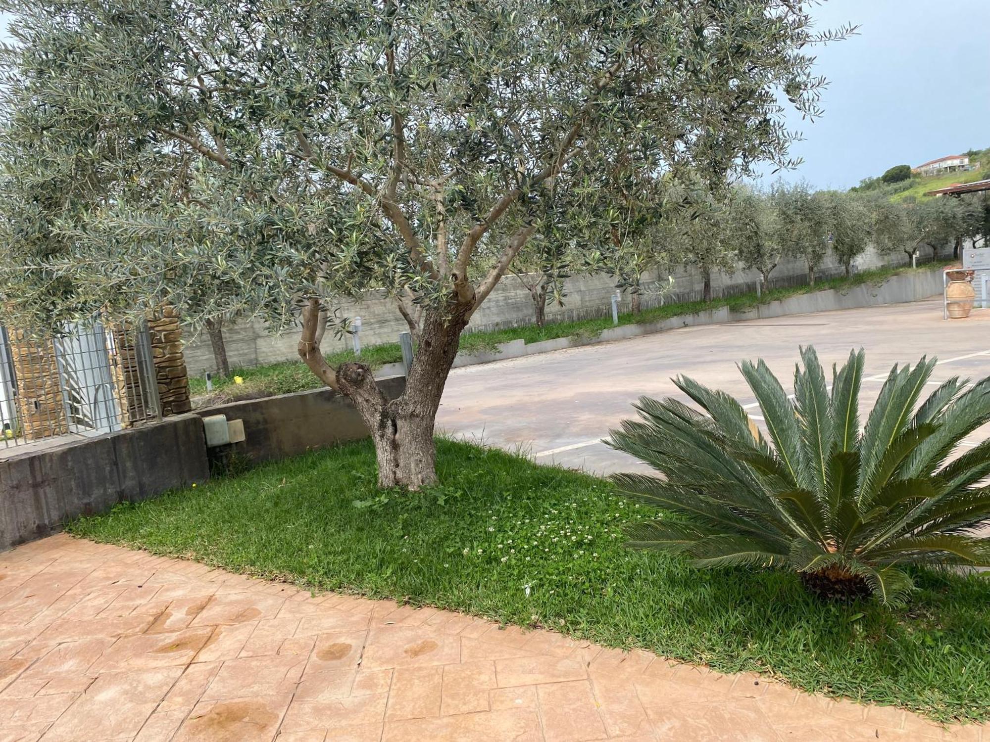 Miro' Agropoli B&B 외부 사진