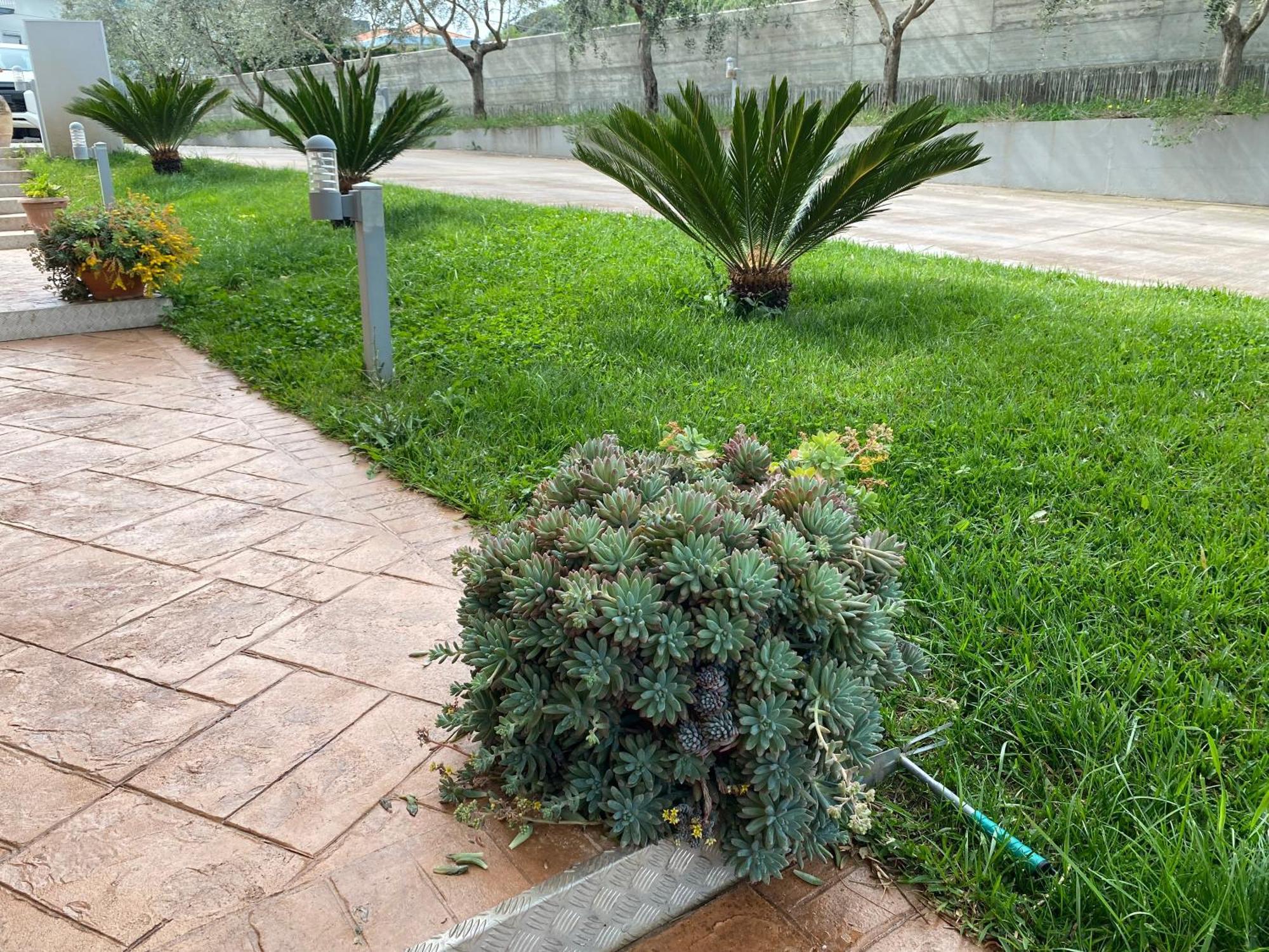 Miro' Agropoli B&B 외부 사진