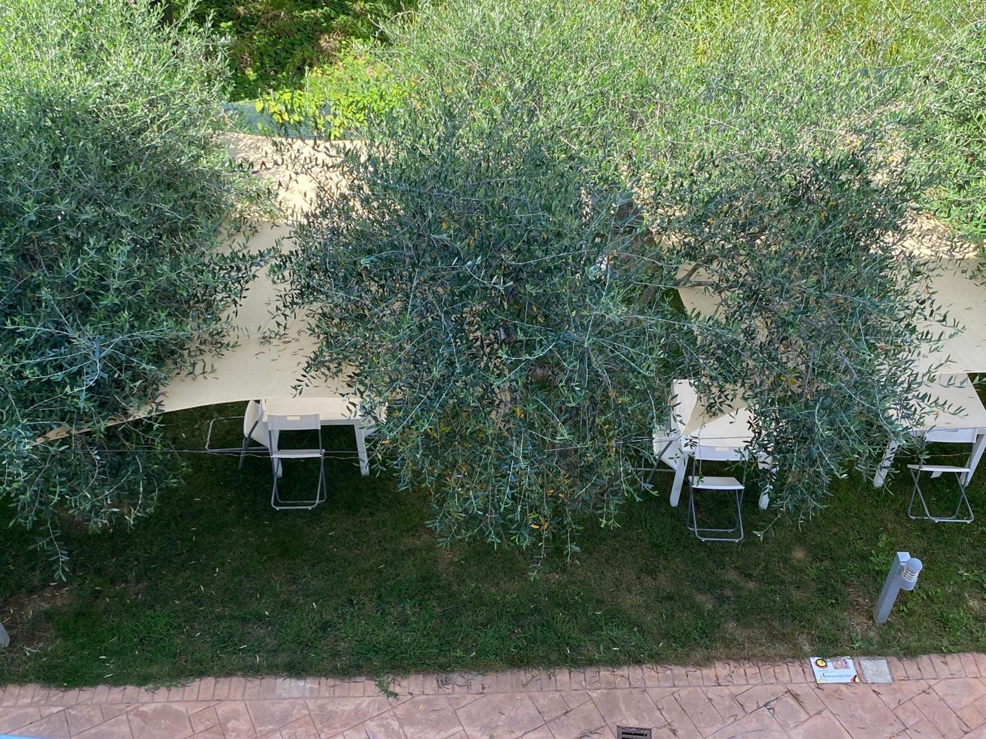 Miro' Agropoli B&B 외부 사진