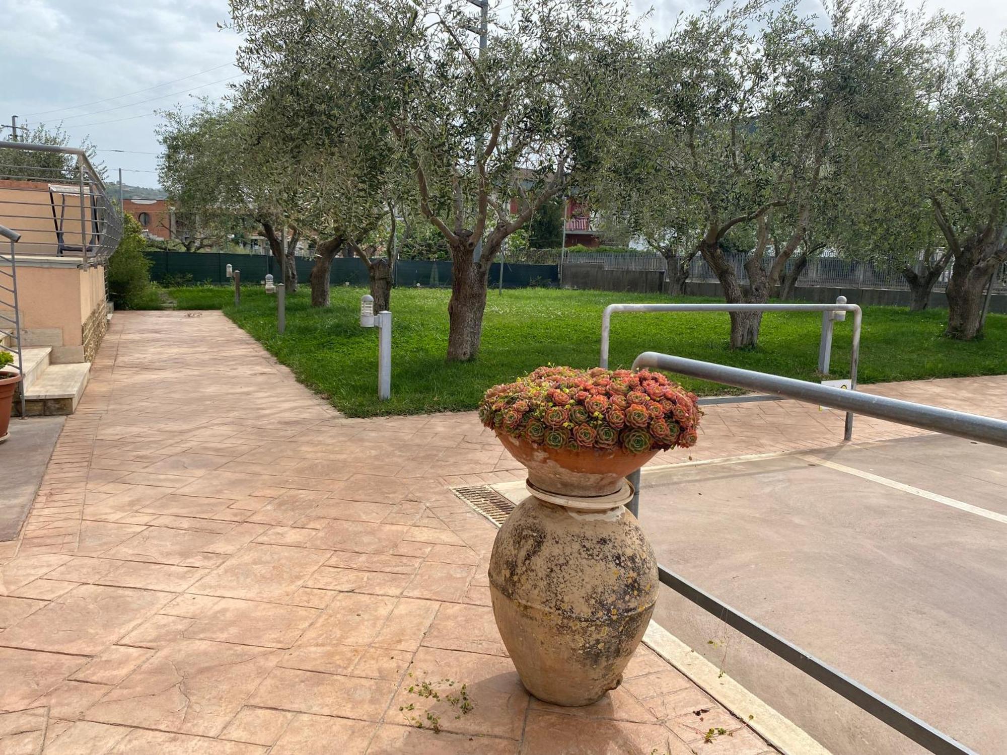 Miro' Agropoli B&B 외부 사진